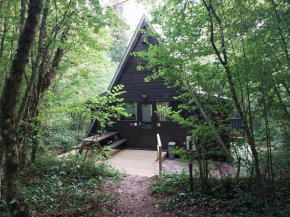 De Bosannemoon in Durbuy